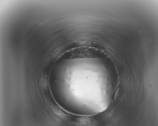 X0000062640085200512231052