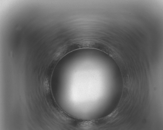 X0000062640086200512231052