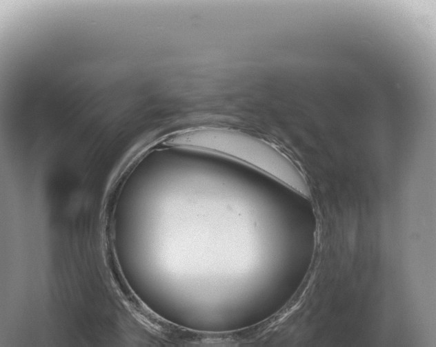 X0000062640101200512231051