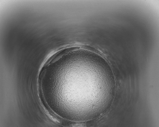 X0000062640102200512231051