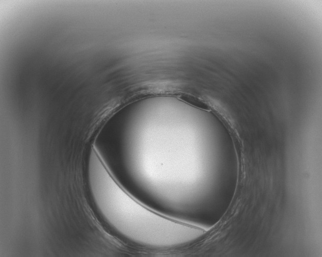 X0000062640105200512231051