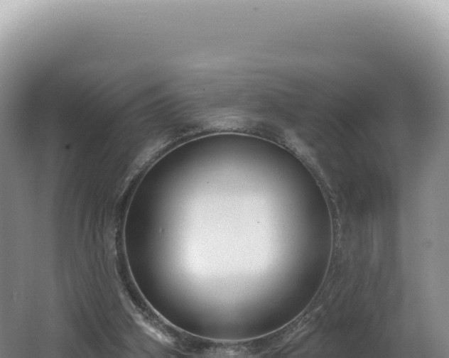 X0000062640106200512231051