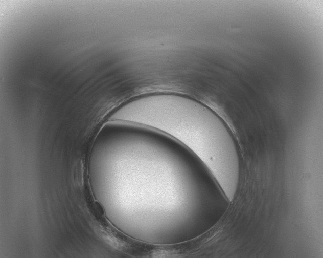 X0000062640109200512231051