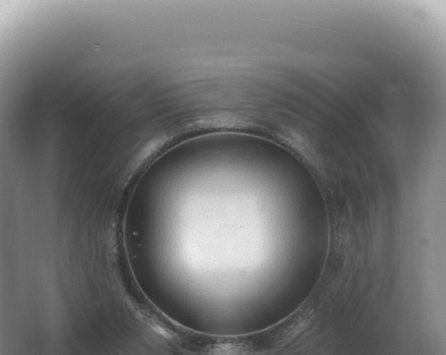 X0000062640111200512231051