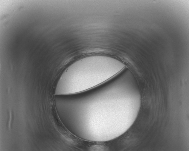 X0000062640119200512231051