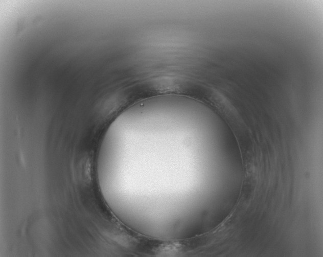 X0000062640124200512231051