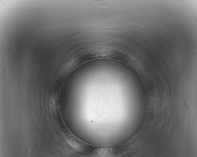 X0000062640126200512231051