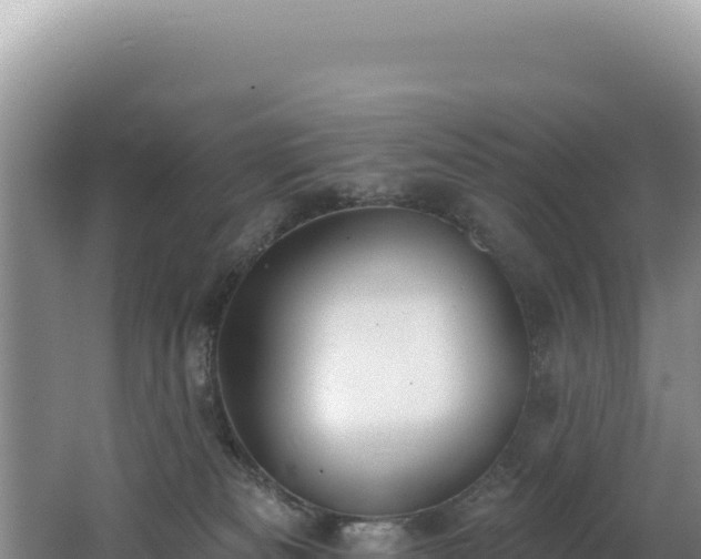 X0000062640133200512231051