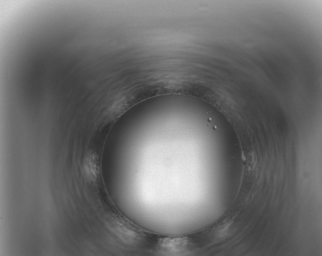 X0000062640135200512231051