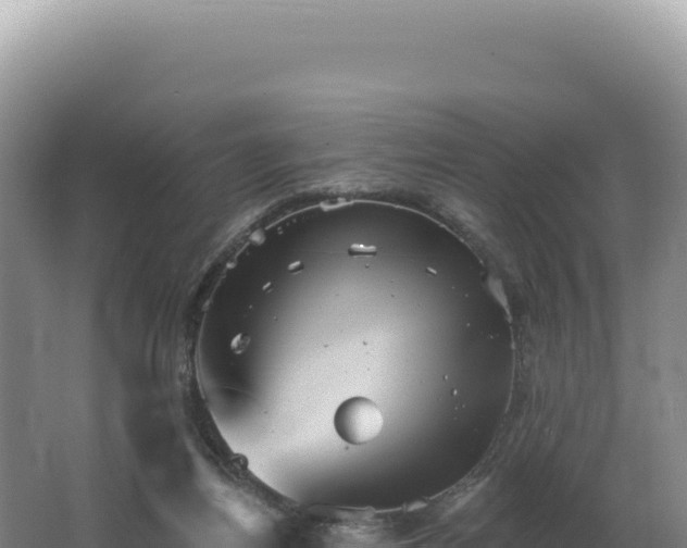 X0000062640164200512231050