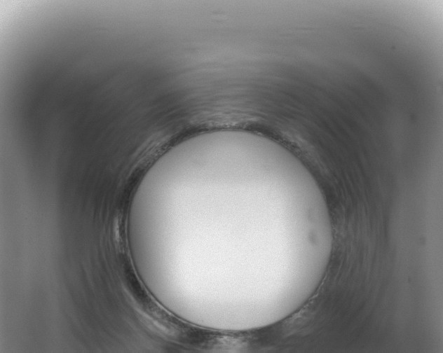 X0000062640166200512231050