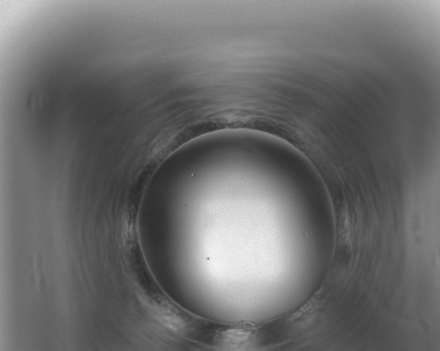 X0000062640176200512231050