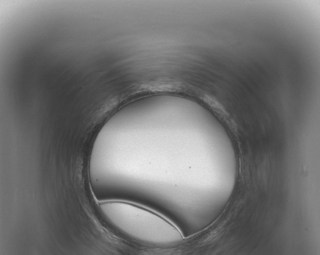 X0000062640201200512231050