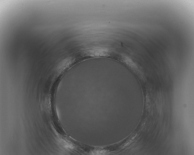 X0000062640202200512231050