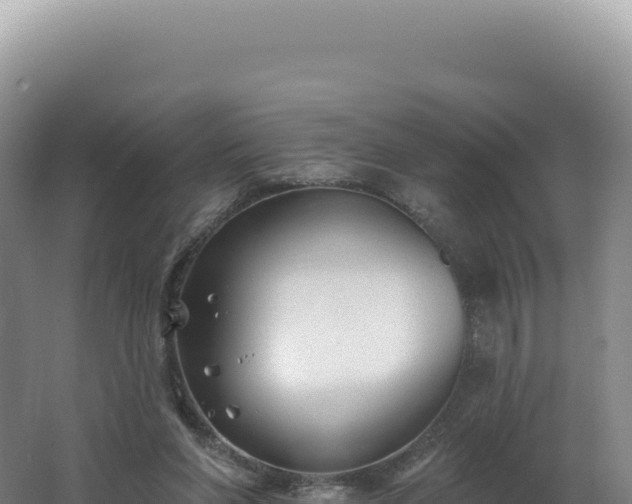 X0000062640206200512231049