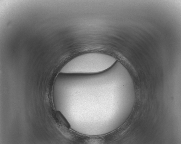 X0000062640209200512231049