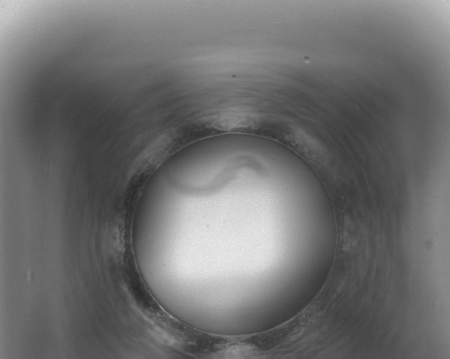 X0000062640210200512231049