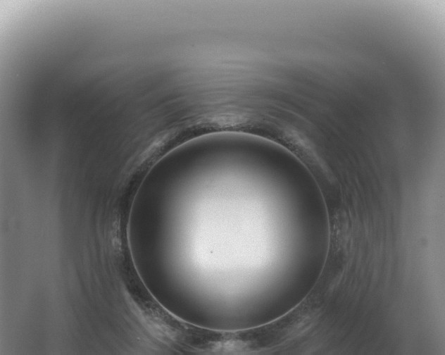 X0000062640212200512231049