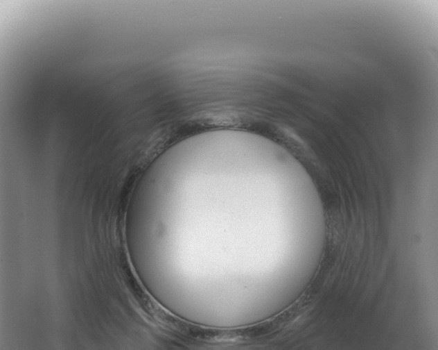 X0000062640213200512231049
