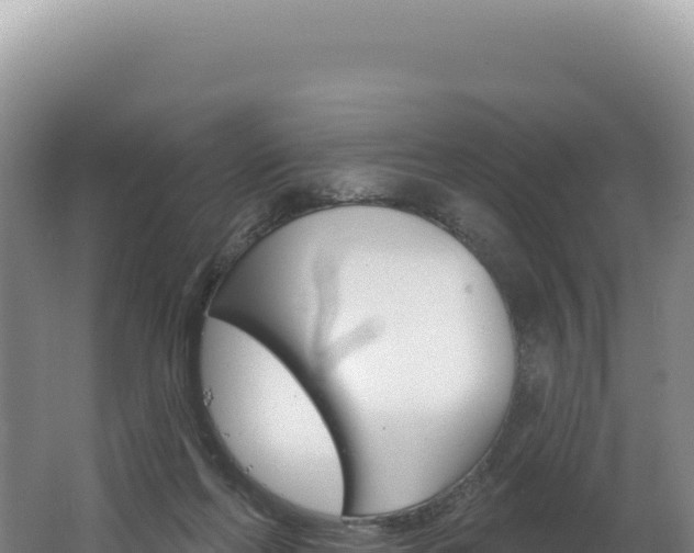 X0000062640214200512231049