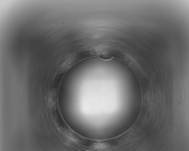 X0000062640218200512231049