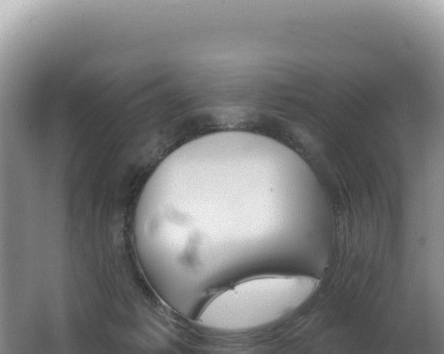 X0000062640221200512231049