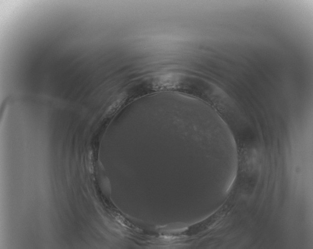 X0000062640224200512231049