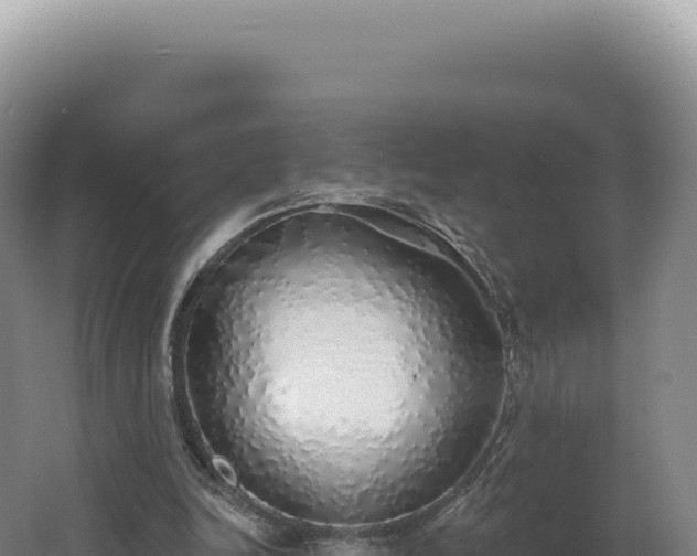 X0000062640246200512231048