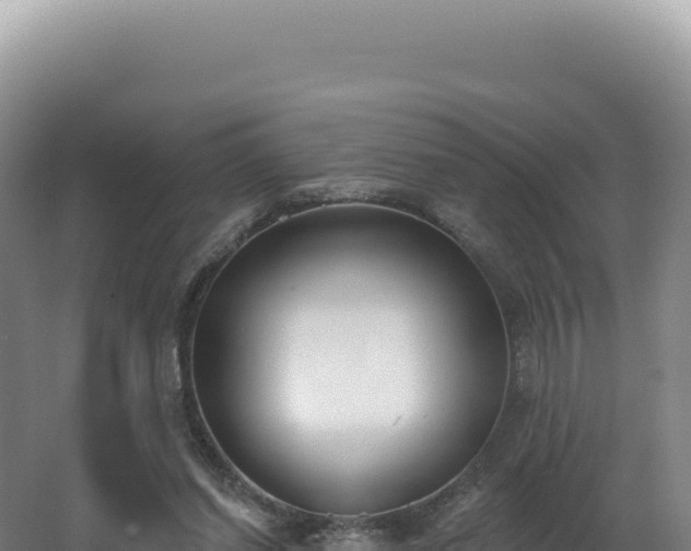 X0000062640254200512231048