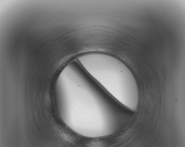 X0000062640256200512231048
