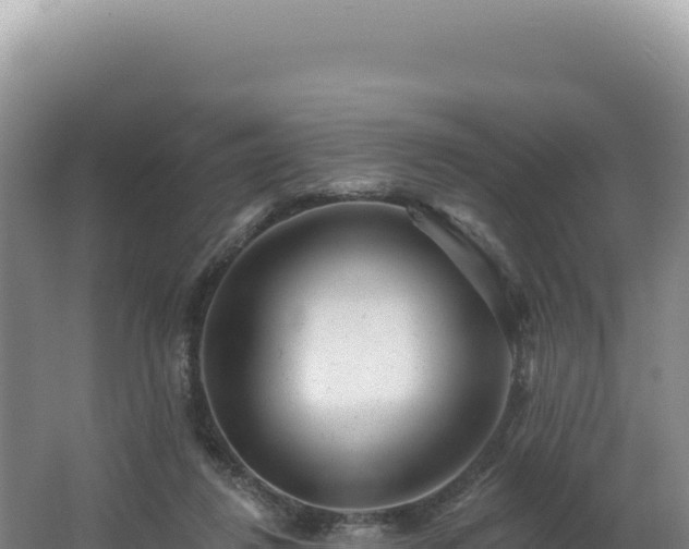 X0000062640260200512231048