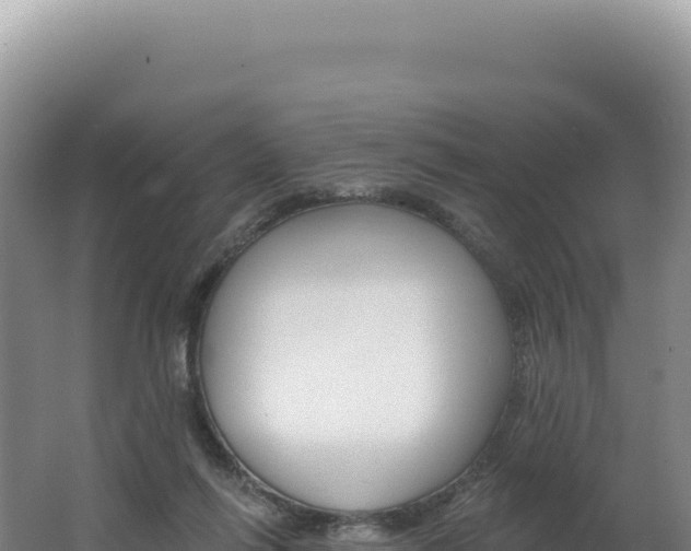 X0000062640262200512231048
