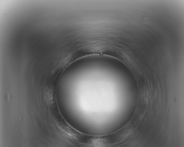 X0000062640268200512231049
