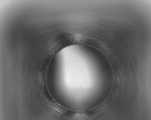 X0000062640270200512231049