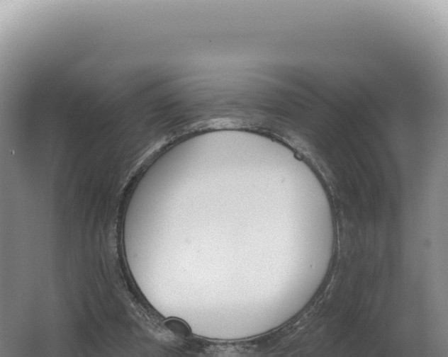 X0000062640297200512231048