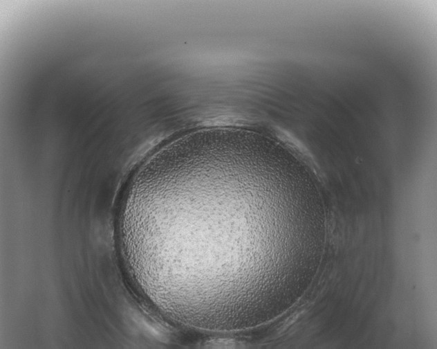 X0000062640298200512231048
