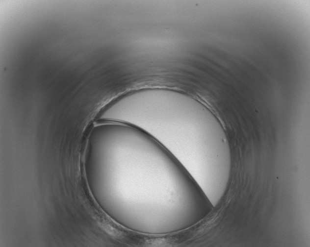 X0000062640301200512231048