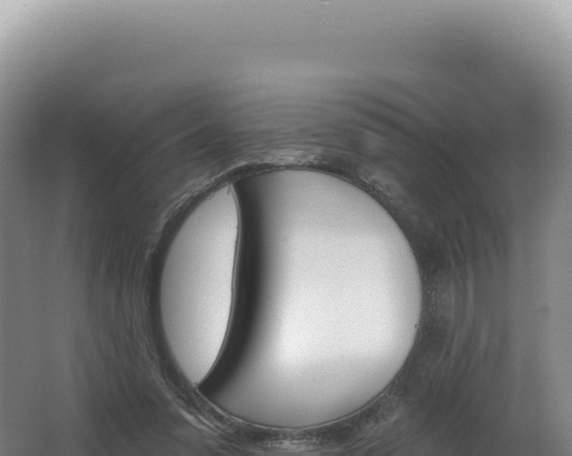 X0000062640303200512231048