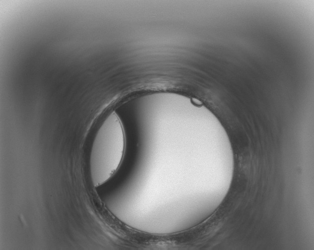 X0000062640304200512231048