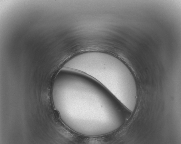 X0000062640305200512231048