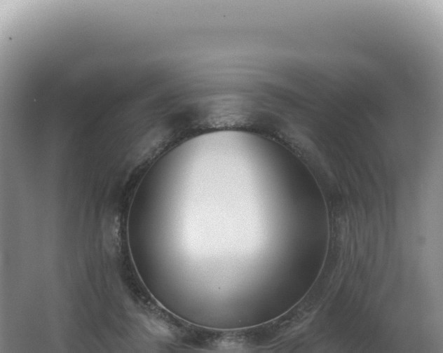 X0000062640308200512231048