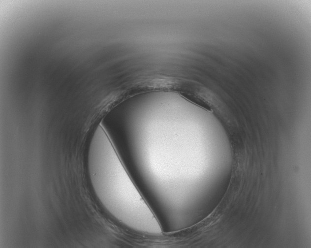 X0000062640309200512231048