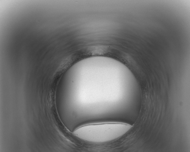 X0000062640311200512231048