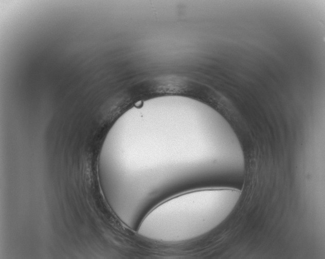X0000062640312200512231048