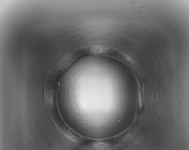 X0000062640315200512231048