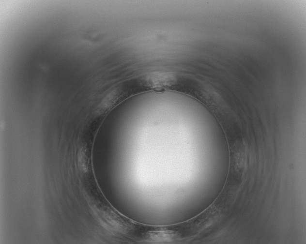 X0000062640316200512231048