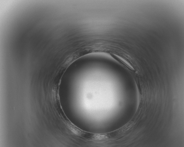 X0000062640333200512231047