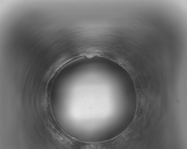 X0000062640338200512231046