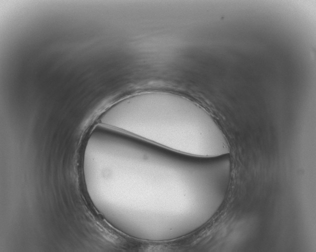 X0000062640341200512231046