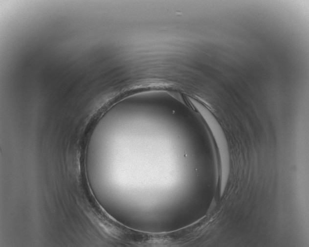X0000062640350200512231047